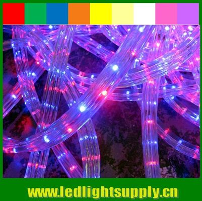220v DIP 3 draden 11x17mm plat geleid touw lichten met doorschijnend PVC