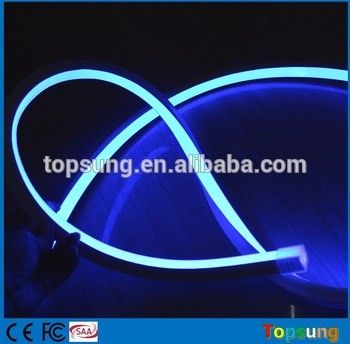 Hoogwaardig vierkantblauw neon flexibel licht 110v 120 leds/m voor buitengebouwen
