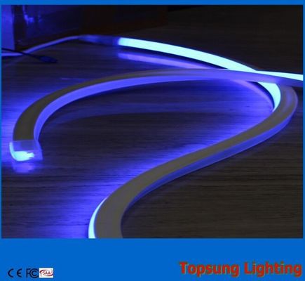 Hoogwaardig vierkantblauw neon flexibel licht 110v 120 leds/m voor buitengebouwen