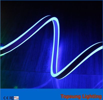 2016 nieuwste prijs blauw 110v dubbelzijdig geleid neon flex licht