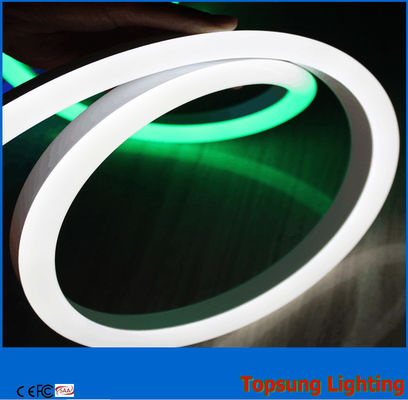 110v wit dubbelzijdig, flexibel geleid neonlicht PVC voor gebouwen