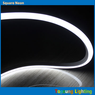 SMD2835 LED Neon Flex Light Flexible Neon Light Rope Wit 16*16m 220v