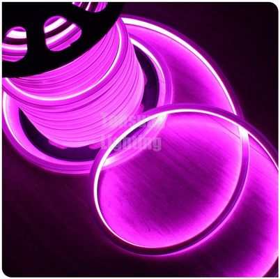 Nieuw roze vierkant 12v 16*16m LED neon flex licht voor de kamer