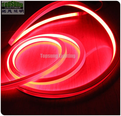 Hot sale RGB 16*16m 127V plat neon led licht gemaakt in China