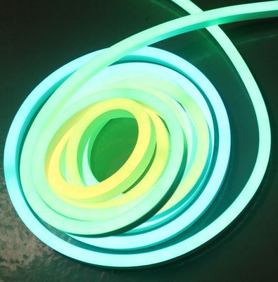 LED neon pixel licht SPI digitale Neon Flex touw dynamische achtervolging