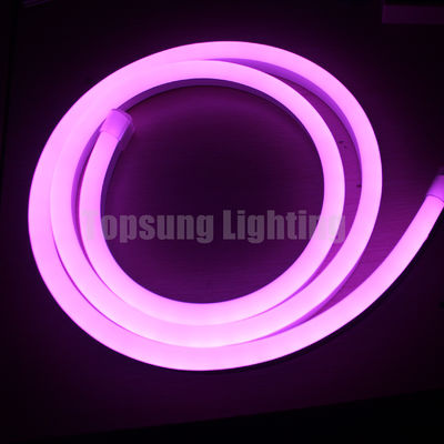 Mooie rgb kleurveranderende 24v digitale buigbare led neon flex lichten strip