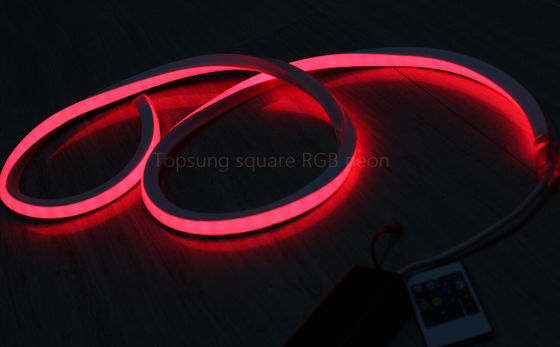 vierkant LED Strip RGB Neon Flex touw licht Waterdicht 220V Flexible Outdoor Lighting