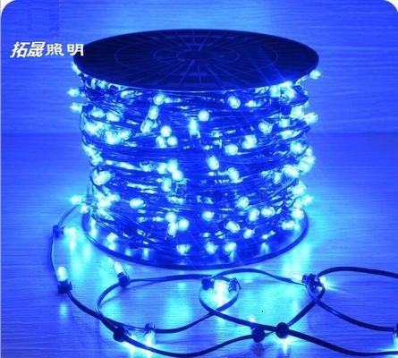 Kerstboomfabrikant IP65 LED String Lights 12V LED Clip Light voor Australië