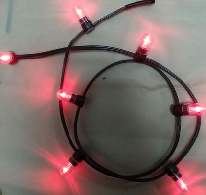 12v laag vermogen led clip lamp 100m / roll kerstverlichting led string lichten rode rijst strings 666 lampen