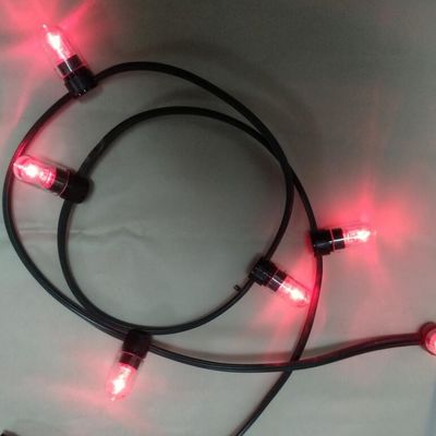 12v laag vermogen led clip lamp 100m / roll kerstverlichting led string lichten rode rijst strings 666 lampen