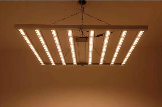 Volledig spectrum 600W LED-kweeklampen voor binnen Mix Cree 660nm Led-plantengroeilicht